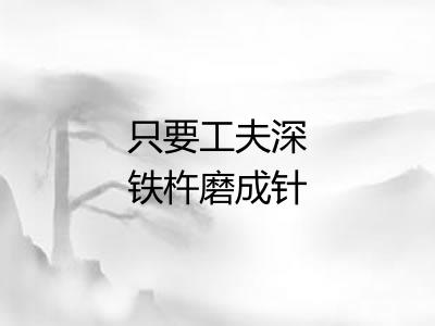 只要工夫深铁杵磨成针